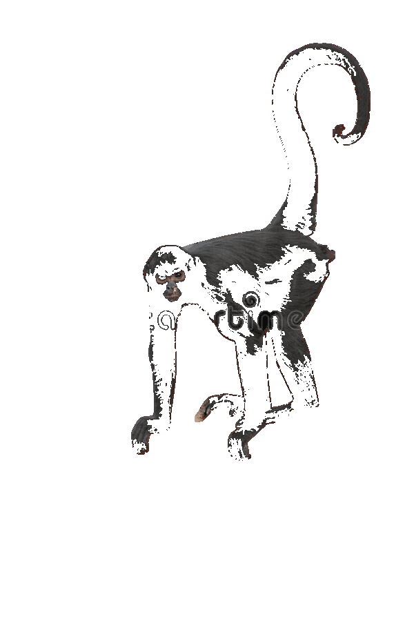 Spice Monkey Cinnamon & Chili