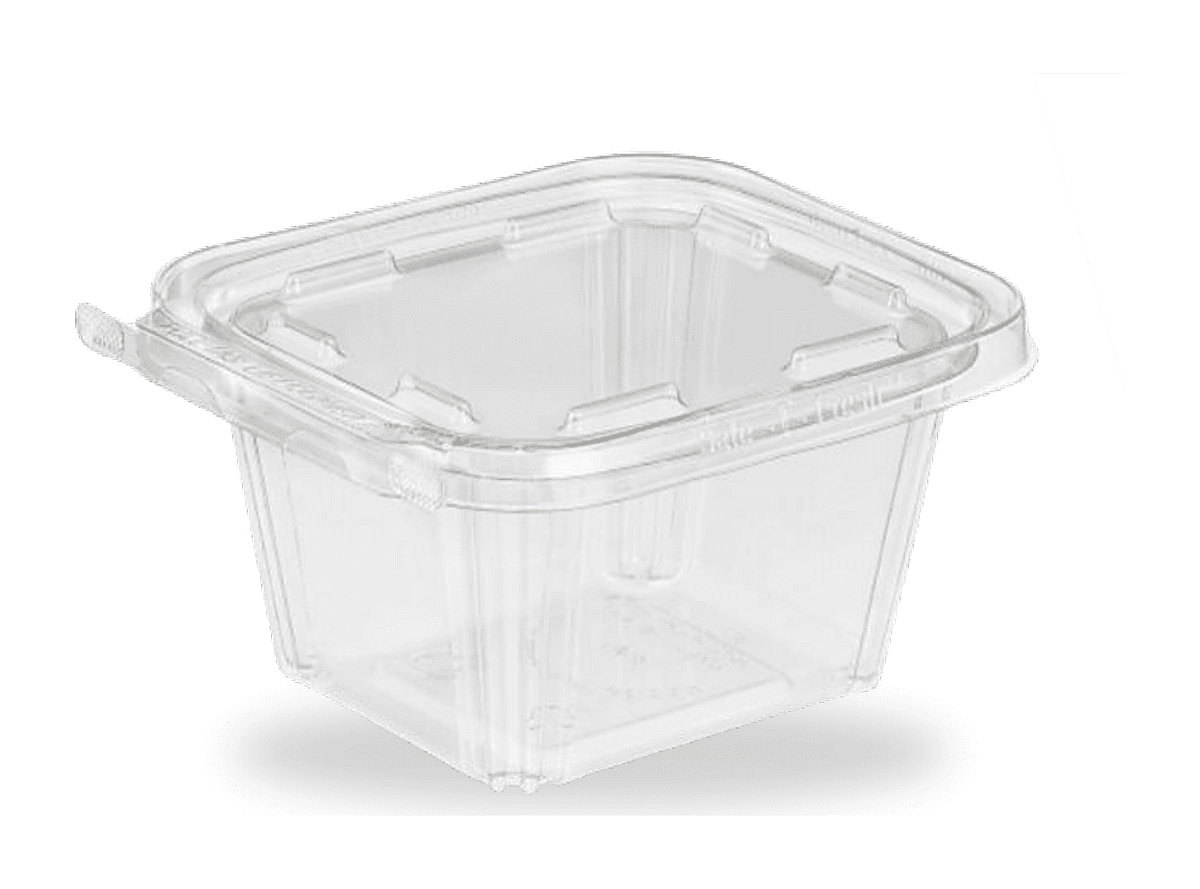 TS16 - Safe T Fresh 16oz Contenedor Rectangular