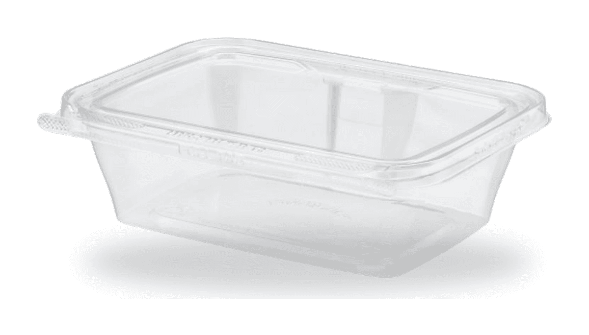 TS24 - Safe T Fresh 24oz Contenedor Rectangular